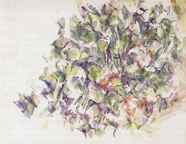 Paul Cezanne Foliage